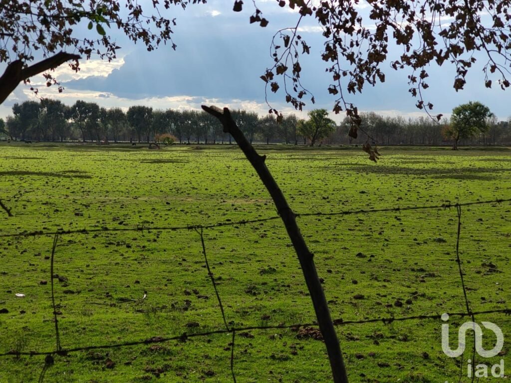 Terreno en Venta en San José Chiapa Puebla