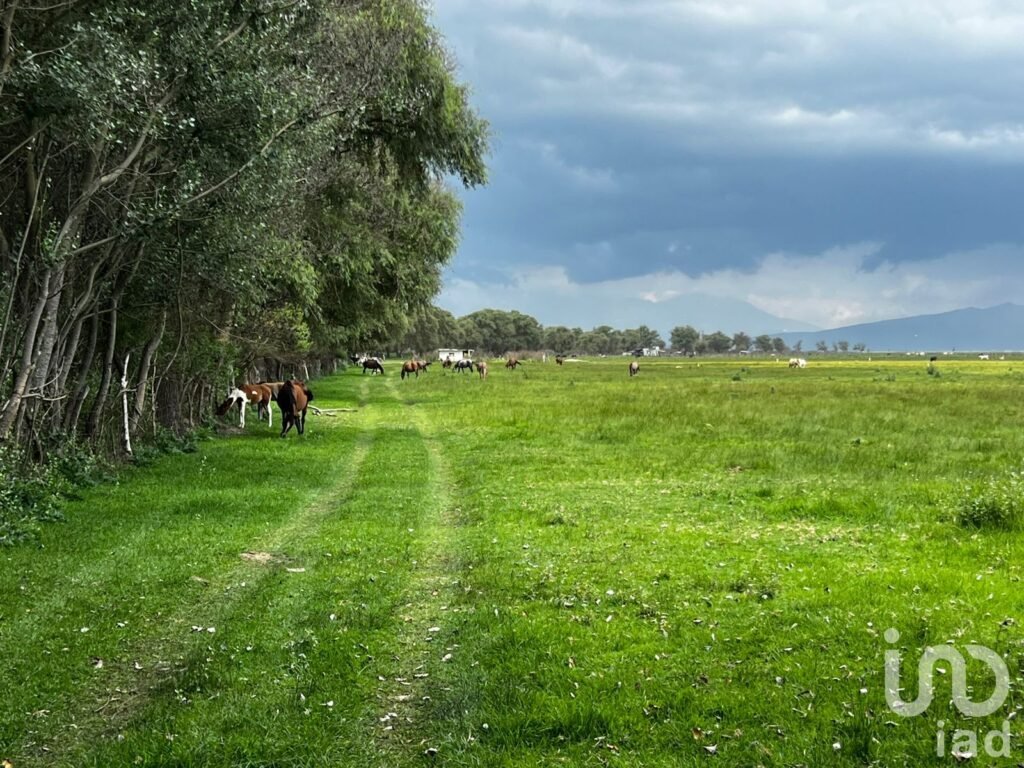 Terreno en Venta en San José Chiapa Puebla