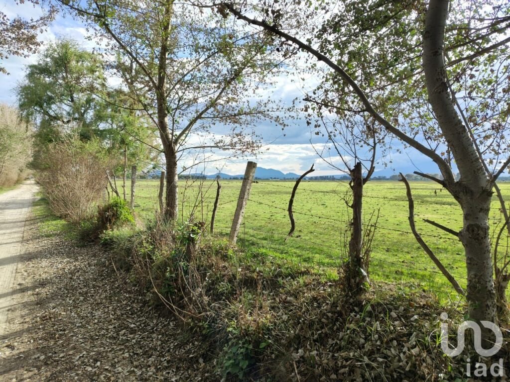 Terreno en Venta en San José Chiapa Puebla