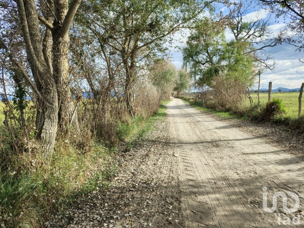 Terreno en Venta en San José Chiapa Puebla