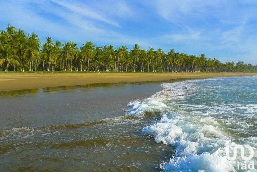 Venta de Terrenos frente al mar en Nayarit playa tortugas
