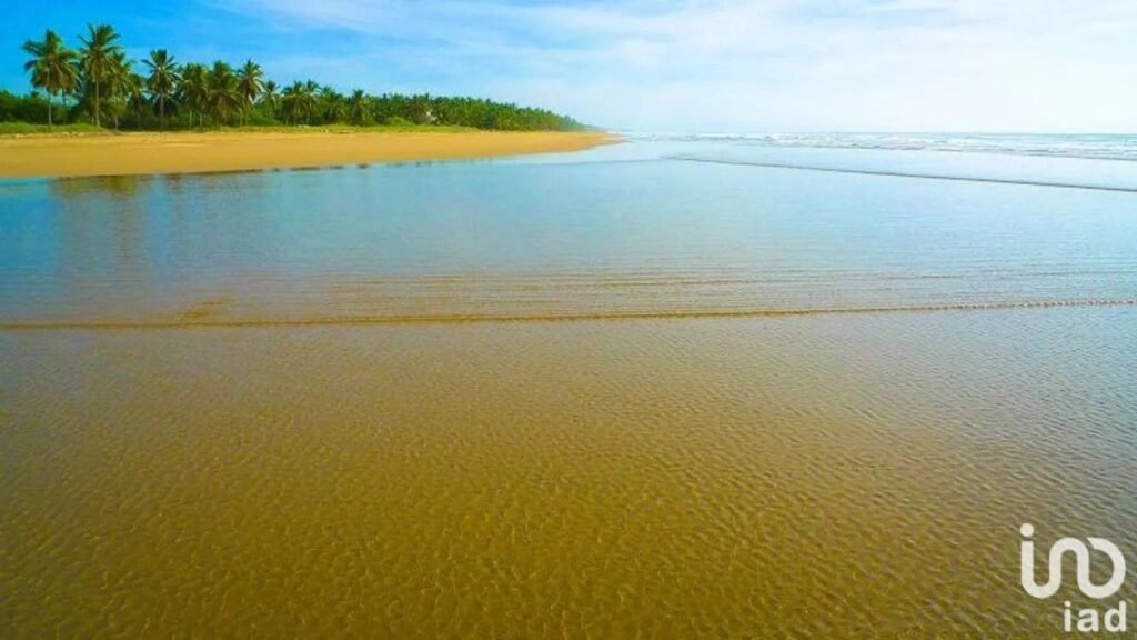 Venta de Terrenos frente al mar en Nayarit playa tortugas