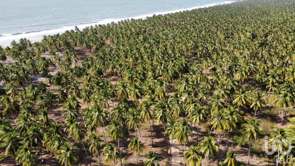 Venta de Terrenos frente al mar en Nayarit playa tortugas