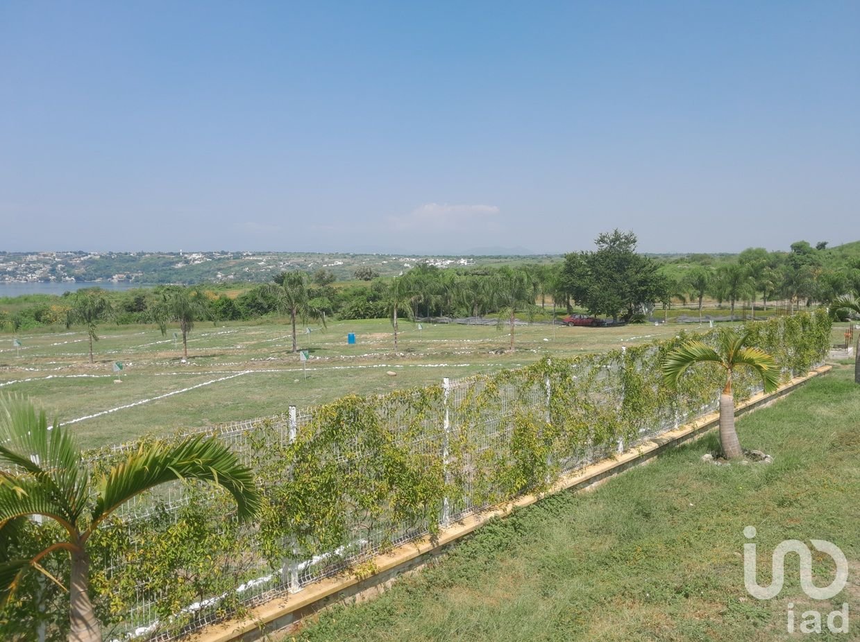 Venta Lotes Residenciales Privados en Tequesquitengo