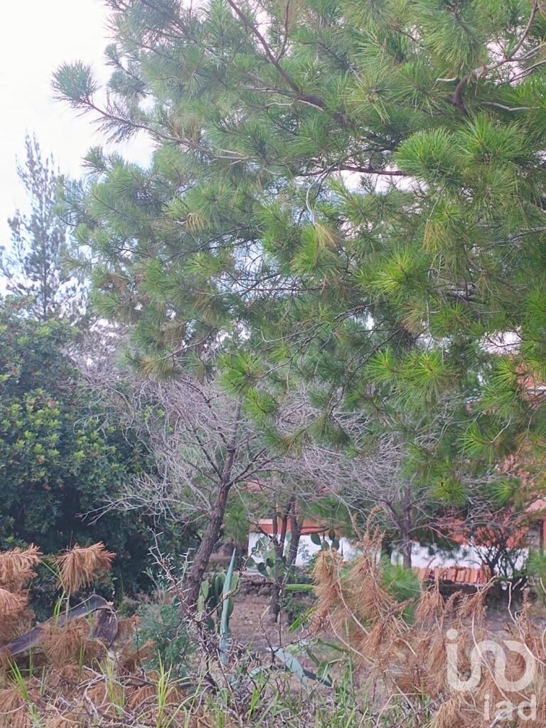 Terrenos en Venta , JACONA, MICHOACAN, Club La Hacienda