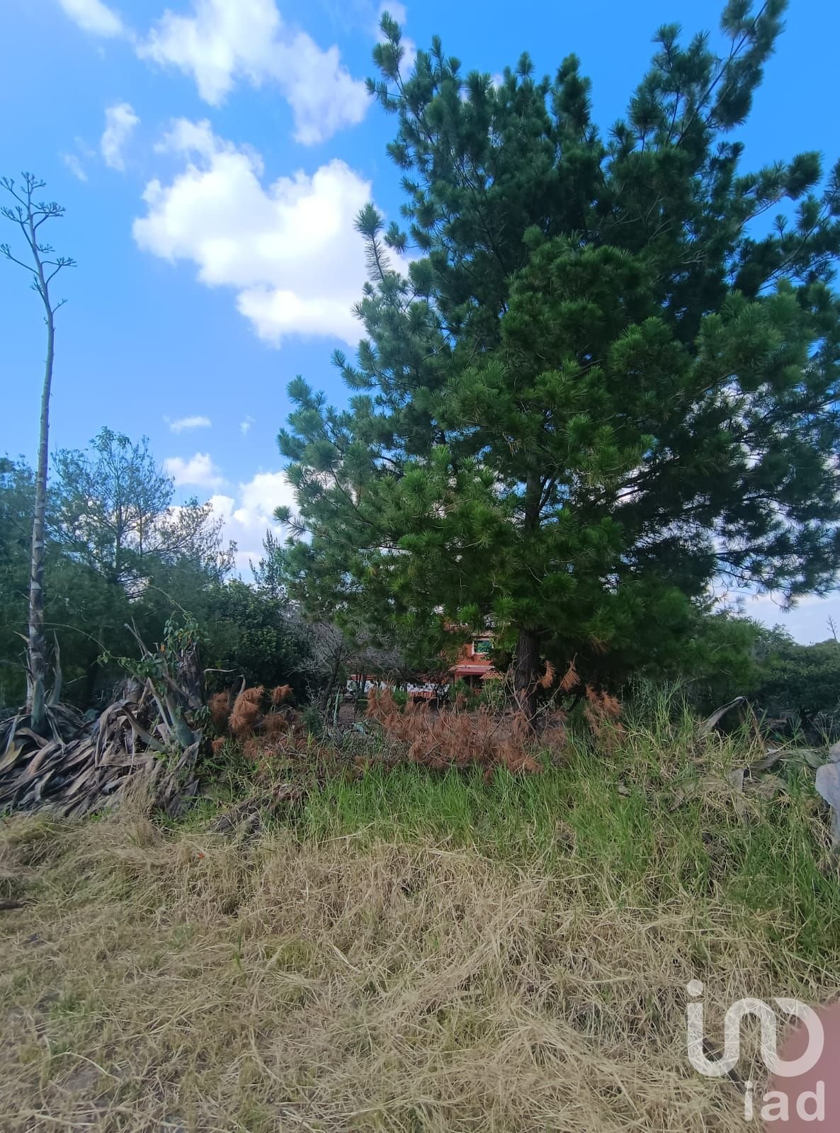 Terrenos en Venta , JACONA, MICHOACAN, Club La Hacienda