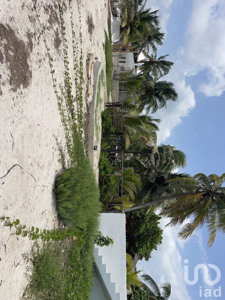 Casa Pulpo Oportunidad en Venta a pie de playa , Santa Clara, Yucatan