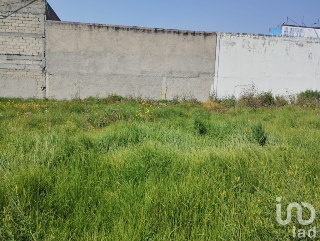 Terreno en venta, Ejido San Maeo Atenco, Méx.