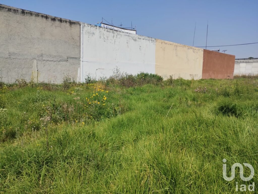 Terreno en venta, Ejido San Maeo Atenco, Méx.