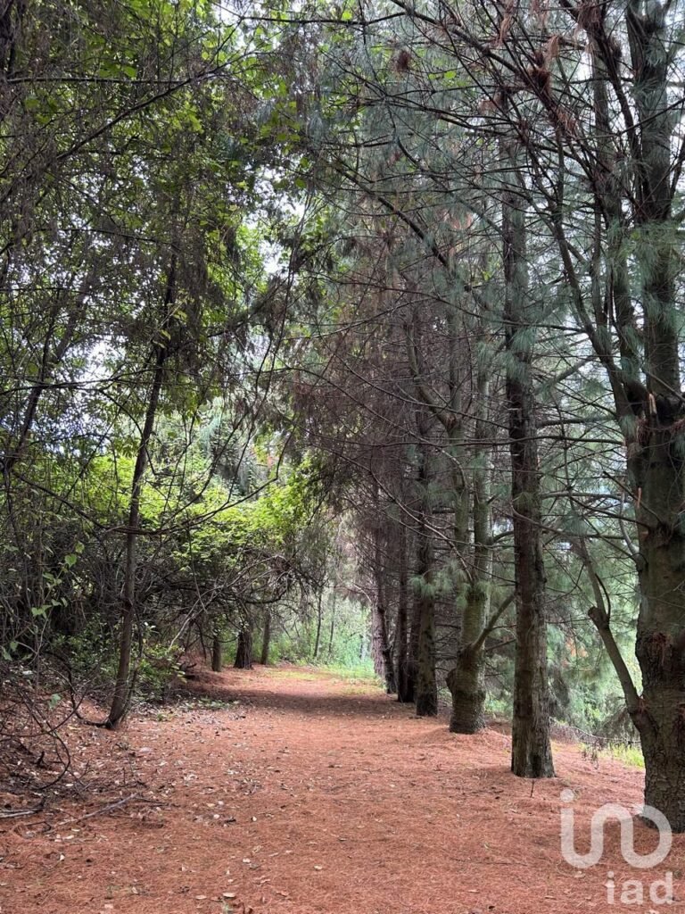 Casa en Venta en Camino Real Ozumba, Estado de México