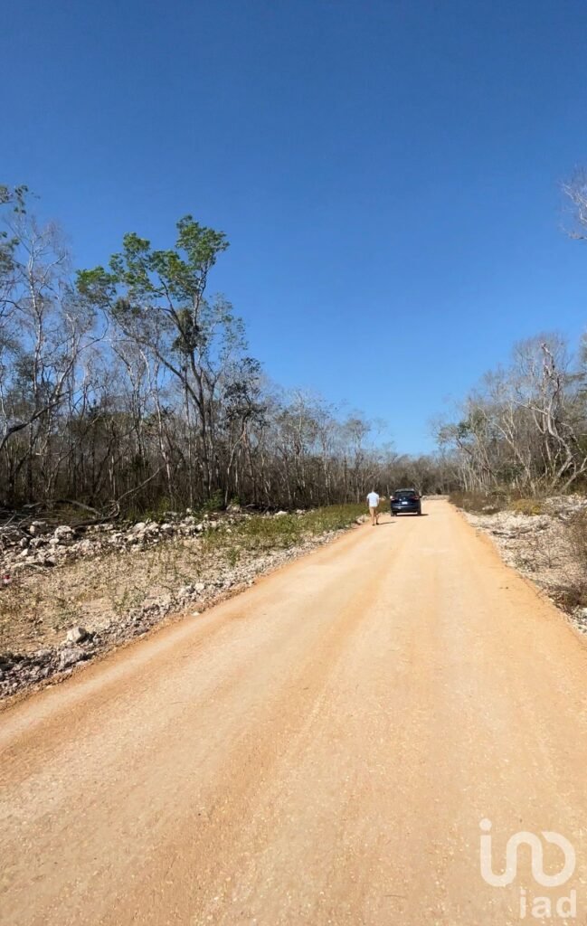 Terreno a 20 min de Celestun  - Venta - Yucatán
