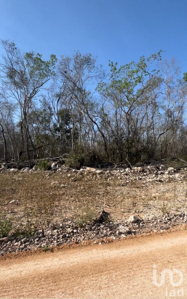 Terreno a 20 min de Celestun  - Venta - Yucatán