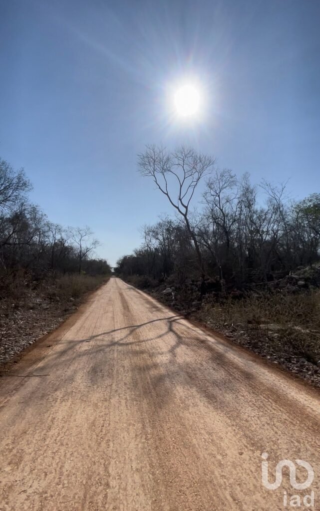 Terreno a 20 min de Celestun  - Venta - Yucatán
