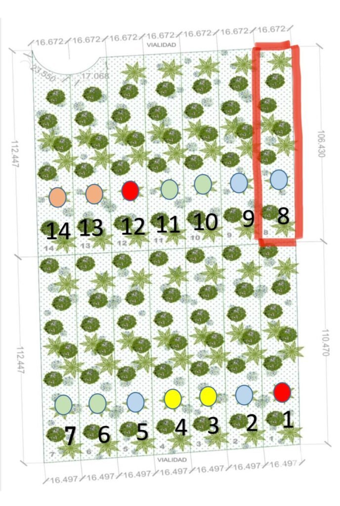 Terreno a 20 min de Celestun  - Venta - Yucatán