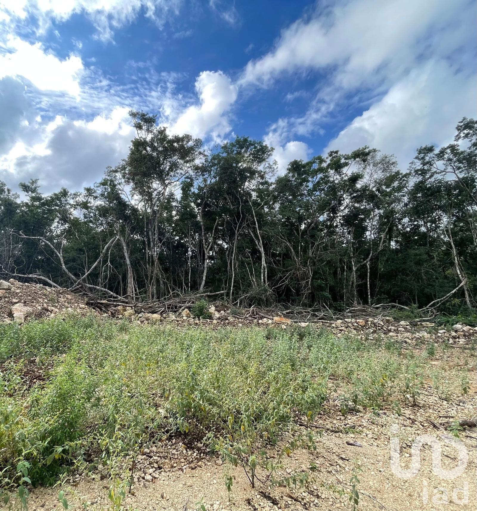 Terreno a 20 min de Celestun  – Venta – Yucatán