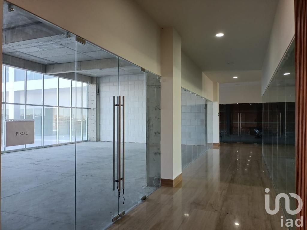 Local en renta en Corporativo Titanium