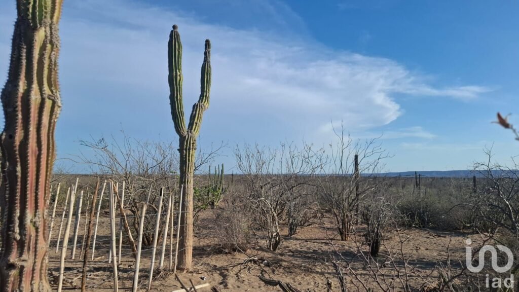 VENTA TERRENO DESARROLLO HABITACIONAL EN  LA COL. BONFIL EN LA PAZ BCS CERCA DEL MAR