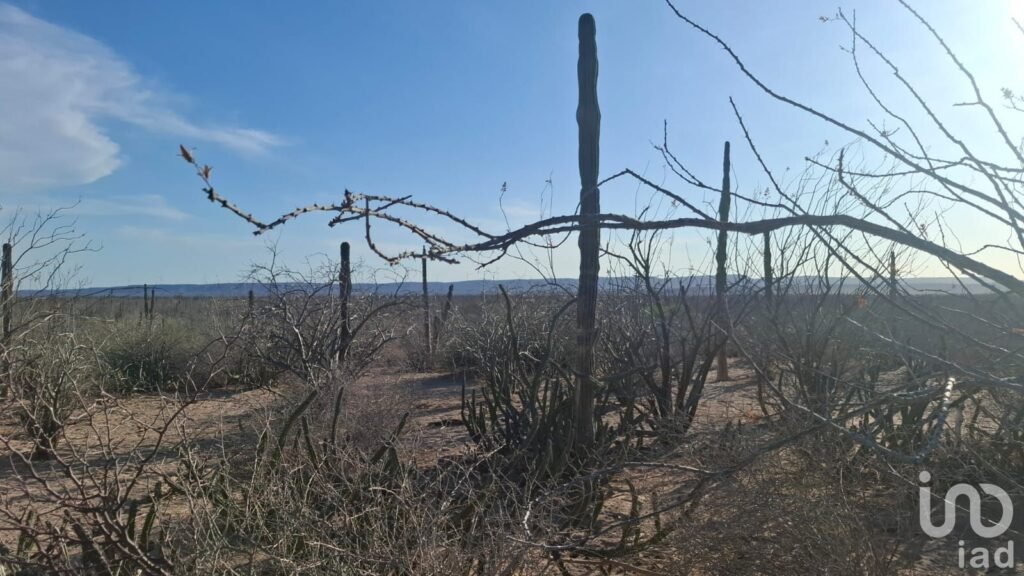 VENTA TERRENO DESARROLLO HABITACIONAL EN  LA COL. BONFIL EN LA PAZ BCS CERCA DEL MAR