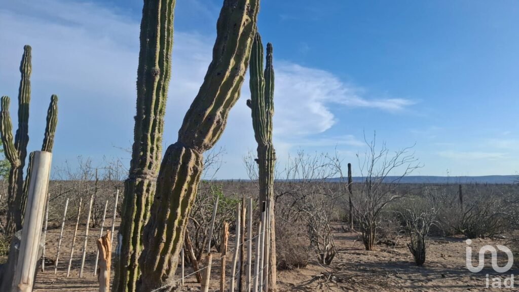 VENTA TERRENO DESARROLLO HABITACIONAL EN  LA COL. BONFIL EN LA PAZ BCS CERCA DEL MAR