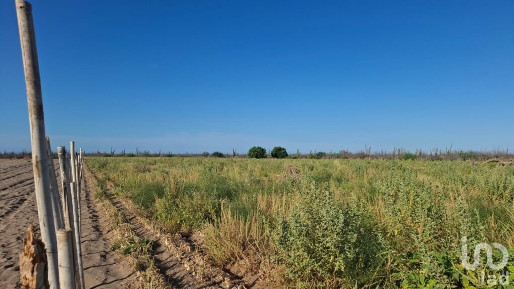 VENTA TERRENO DESARROLLO HABITACIONAL EN  LA COL. BONFIL EN LA PAZ BCS CERCA DEL MAR