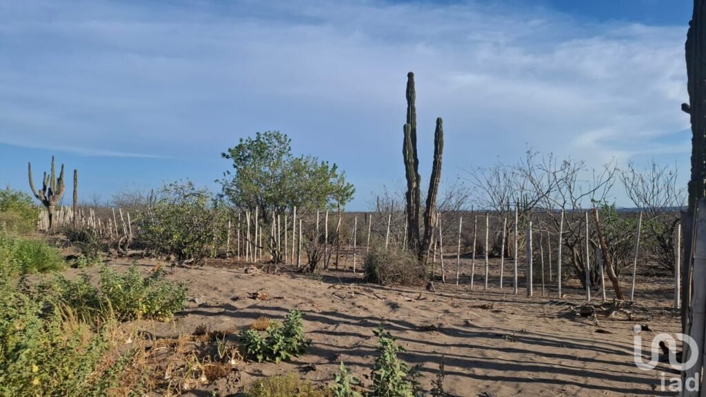 VENTA TERRENO DESARROLLO HABITACIONAL EN  LA COL. BONFIL EN LA PAZ BCS CERCA DEL MAR
