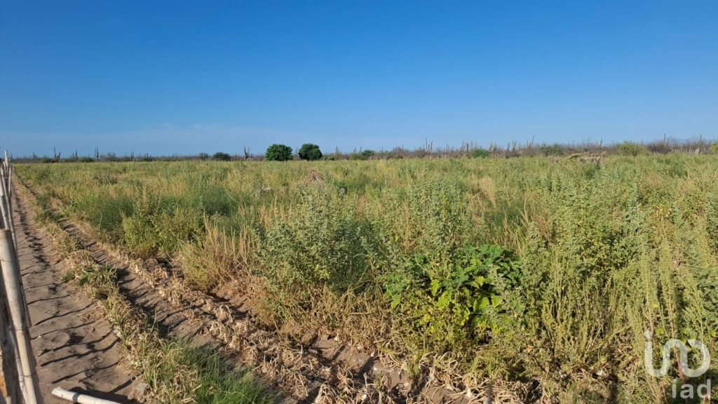 VENTA TERRENO DESARROLLO HABITACIONAL EN  LA COL. BONFIL EN LA PAZ BCS CERCA DEL MAR