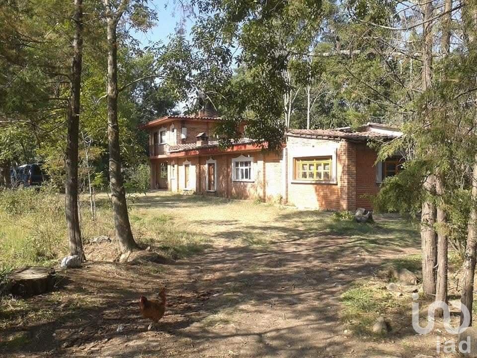 Rancho en Venta en Curungueo Zitácuaro Michoacán