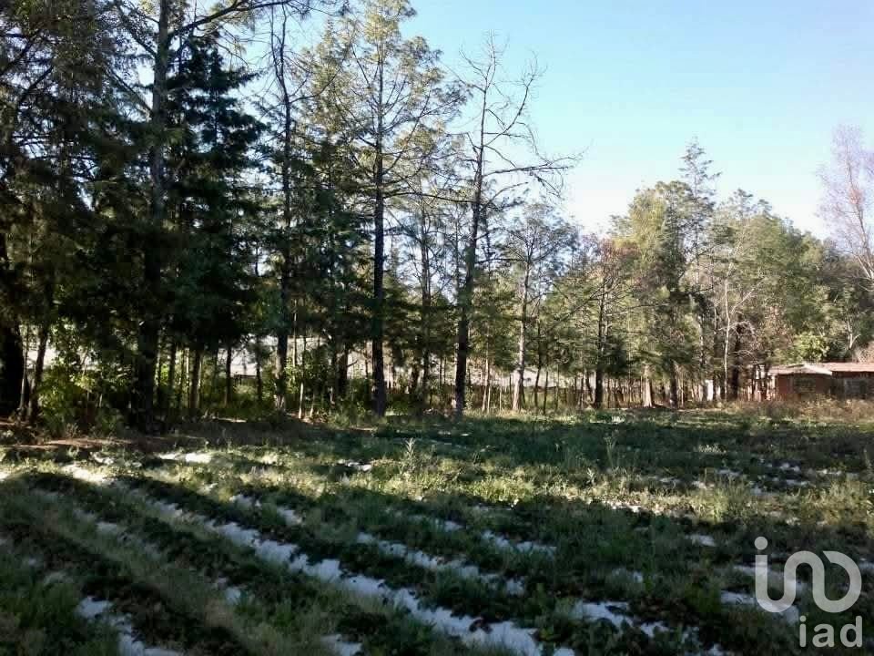 Rancho en Venta en Curungueo Zitácuaro Michoacán