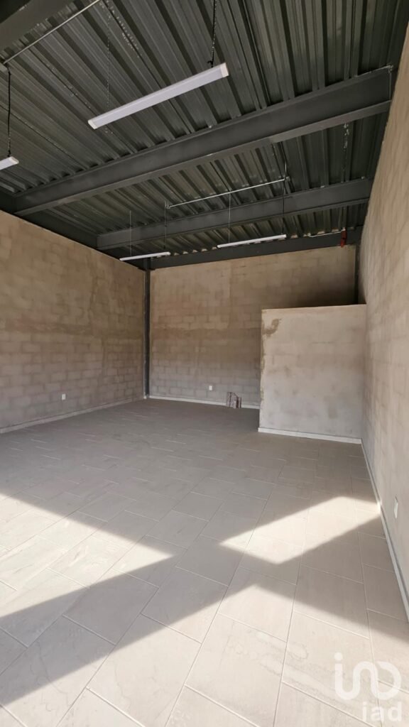 Local Comercial en Plaza Peña Flor, Santiago de Querétaro, Qro.