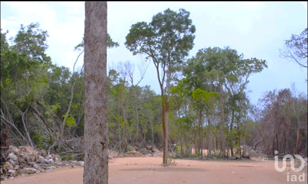 Último Lote residencial en Venta en Desarrollo habitacional en Tulum