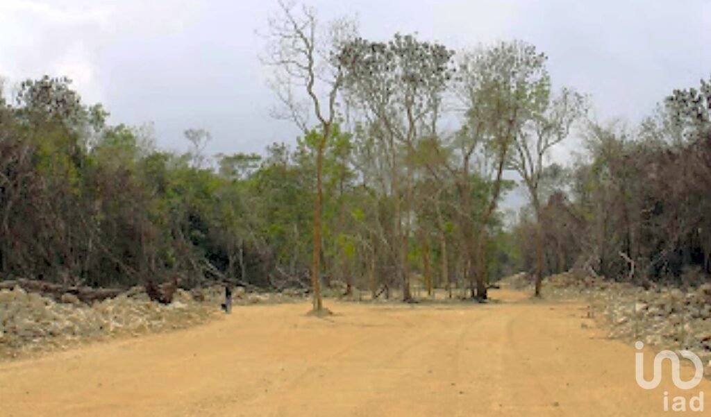 Último Lote residencial en Venta en Desarrollo habitacional en Tulum