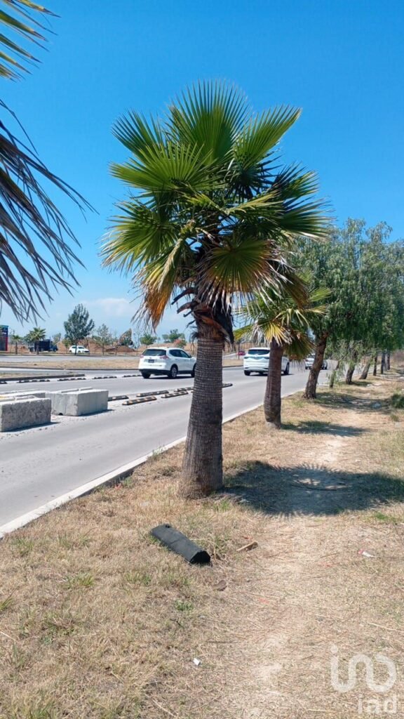 Se Vende Terreno Sobre Lateral Atlixcayotl, en Angelopolis