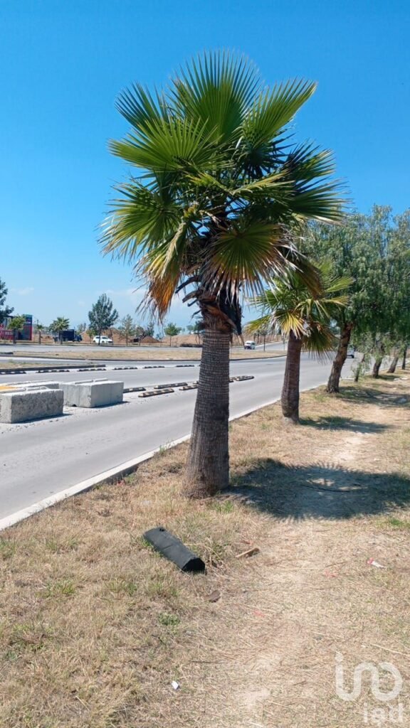 Se Vende Terreno Sobre Lateral Atlixcayotl, en Angelopolis