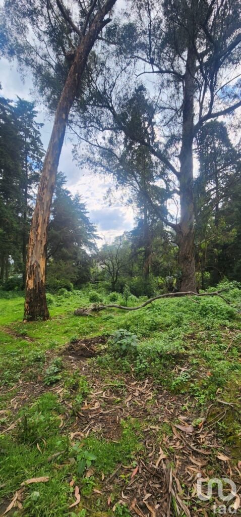 VENTA DE TERRENO EN POPO PARK, AMECAMECA