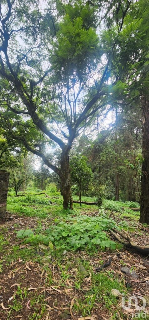 VENTA DE TERRENO EN POPO PARK, AMECAMECA