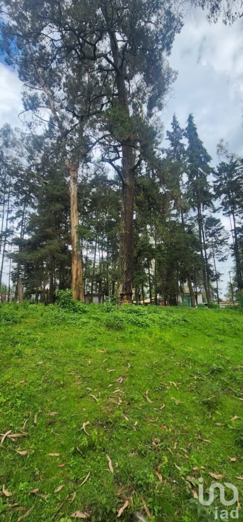 VENTA DE TERRENO EN POPO PARK, AMECAMECA