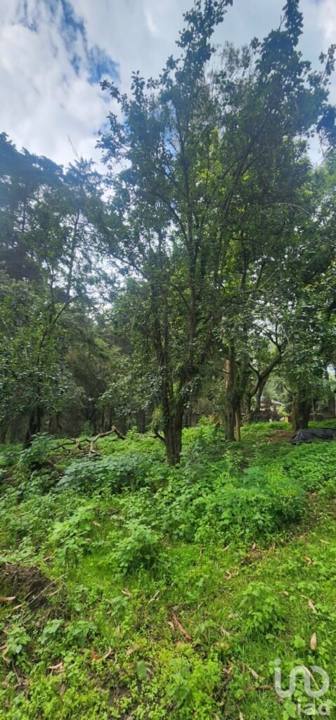 VENTA DE TERRENO EN POPO PARK, AMECAMECA