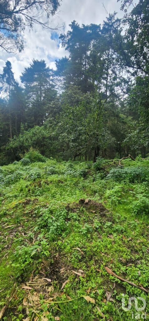 VENTA DE TERRENO EN POPO PARK, AMECAMECA