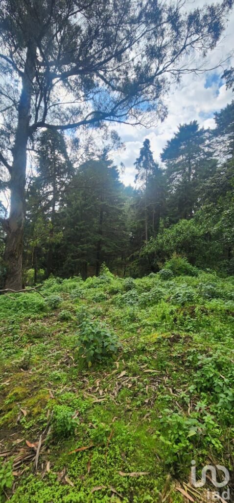 VENTA DE TERRENO EN POPO PARK, AMECAMECA