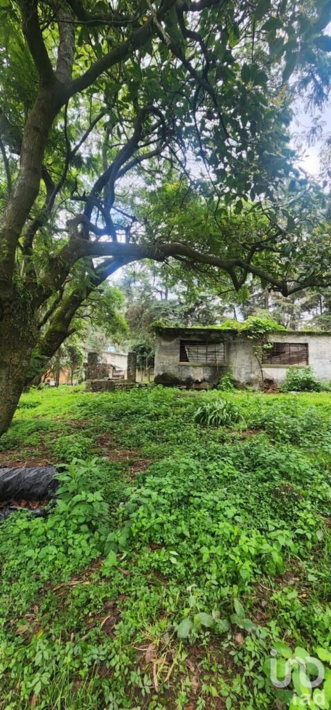 VENTA DE TERRENO EN POPO PARK, AMECAMECA