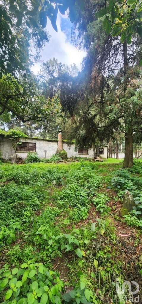 VENTA DE TERRENO EN POPO PARK, AMECAMECA