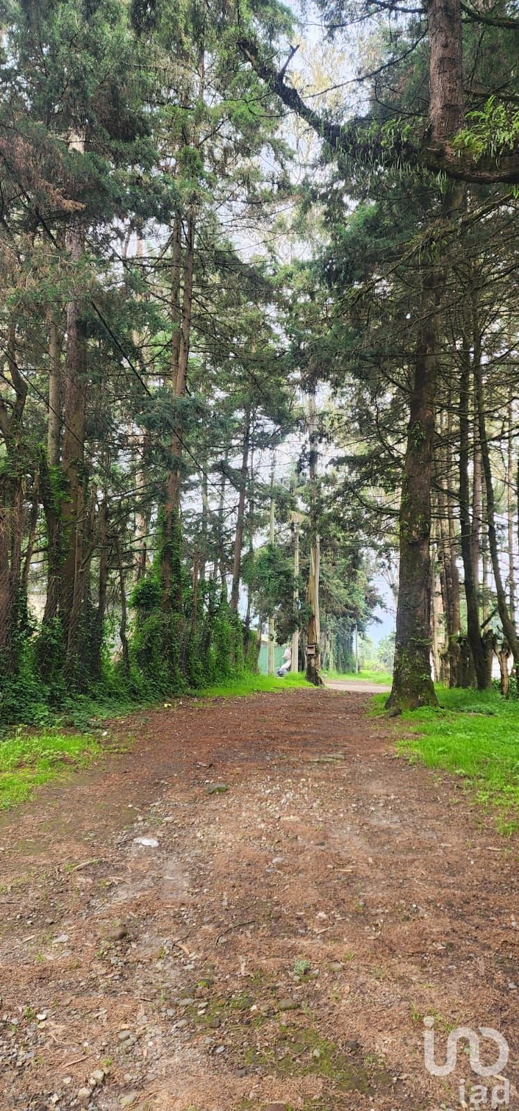 VENTA DE TERRENO EN POPO PARK, AMECAMECA