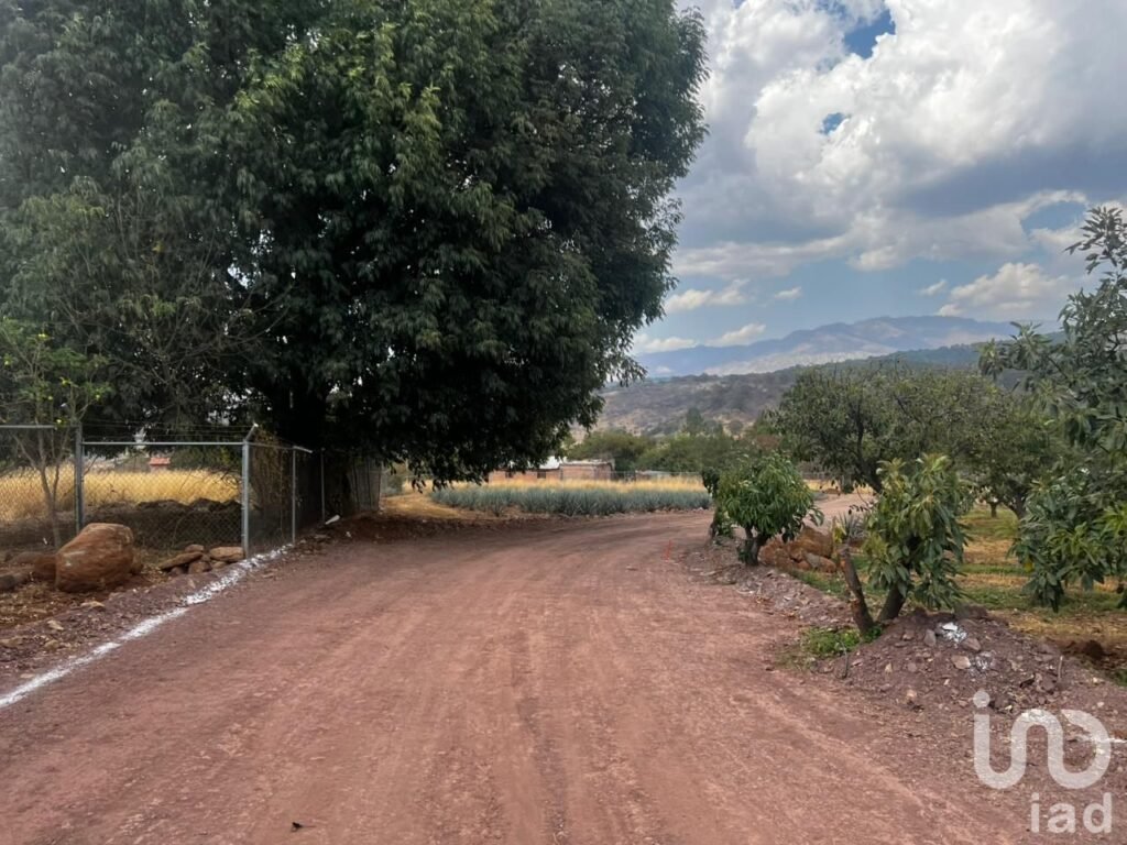 Terreno agro-residencial en chiquilistlan, jalisco