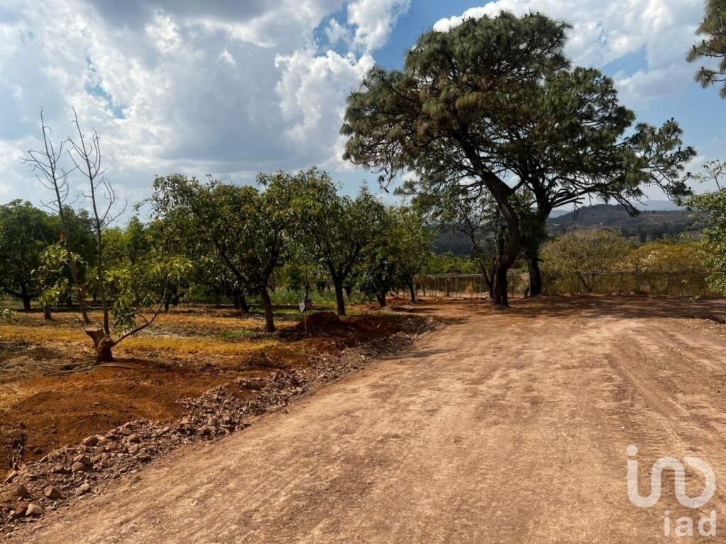 Terreno agro-residencial en chiquilistlan, jalisco