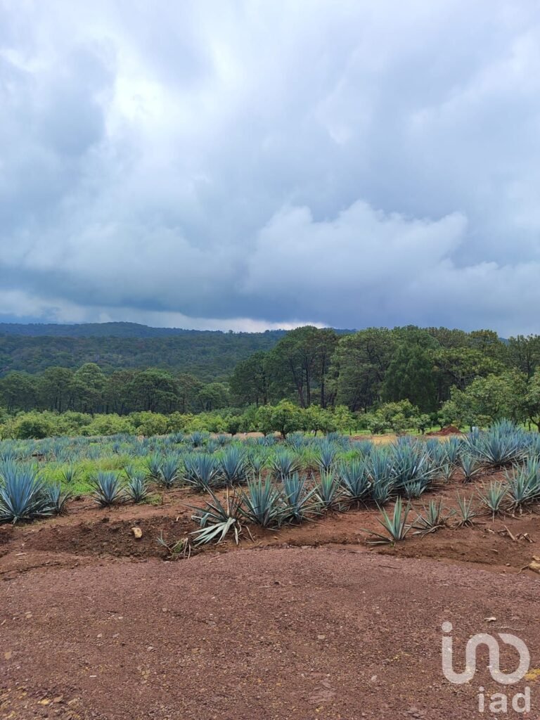 Terreno agro-residencial en chiquilistlan, jalisco