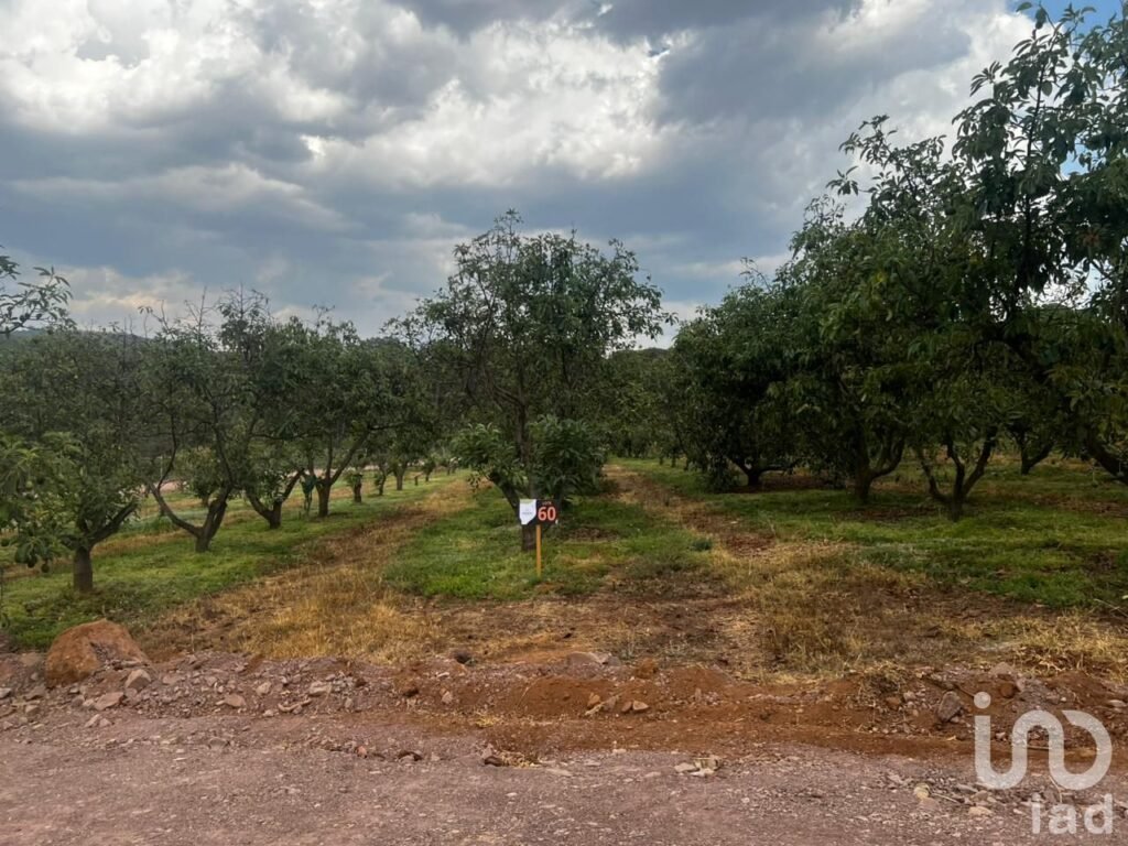 Terreno agro-residencial en chiquilistlan, jalisco