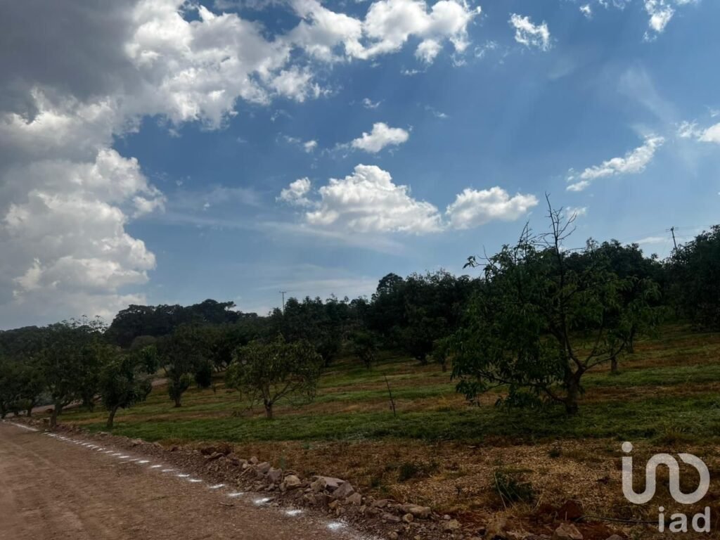 Terreno agro-residencial en chiquilistlan, jalisco