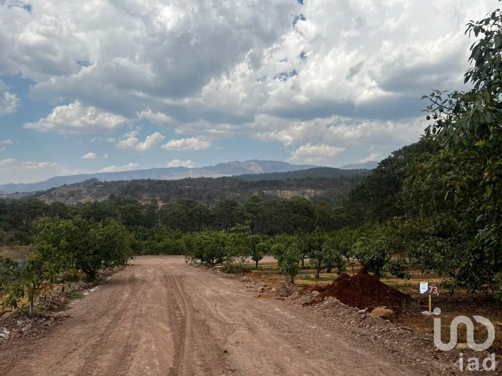 Terreno agro-residencial en chiquilistlan, jalisco