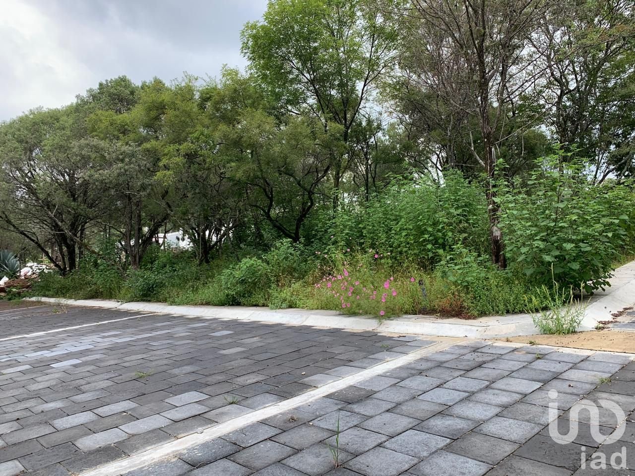 Terreno en venta en esquina en El Mirador la Calera