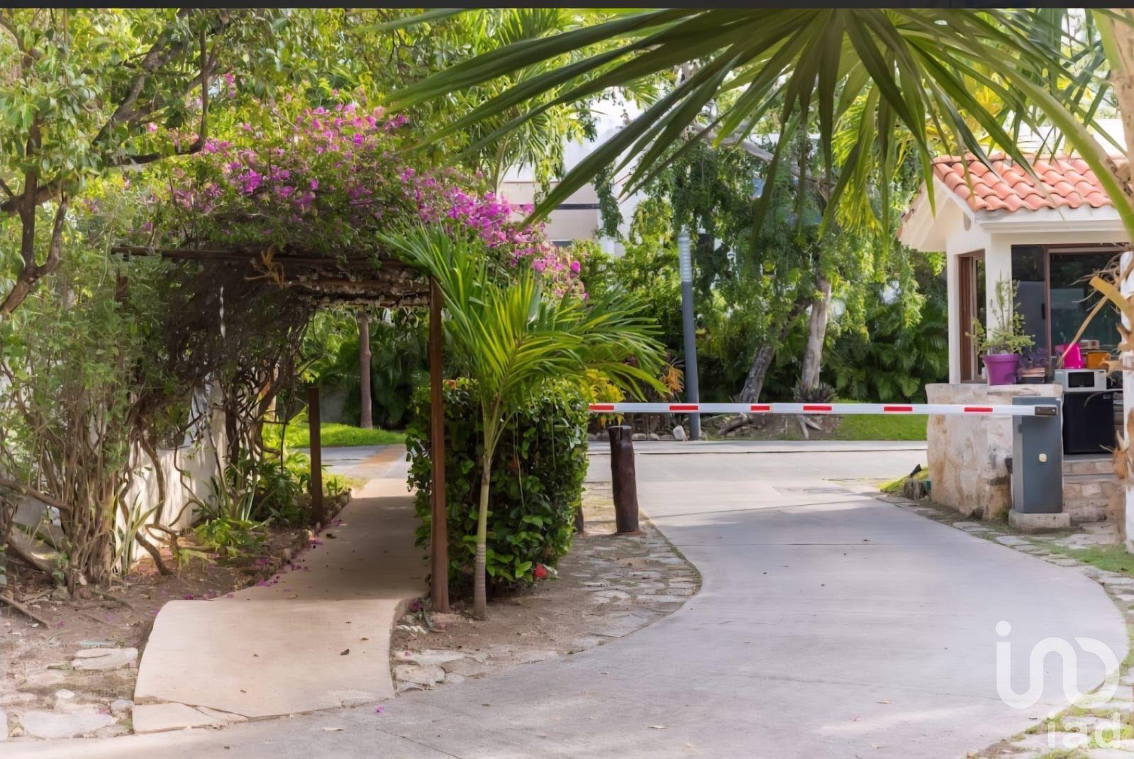 Penthouse con Rooftop privado Selvamar